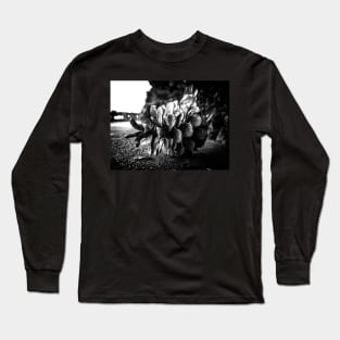 Pine Cone Long Sleeve T-Shirt